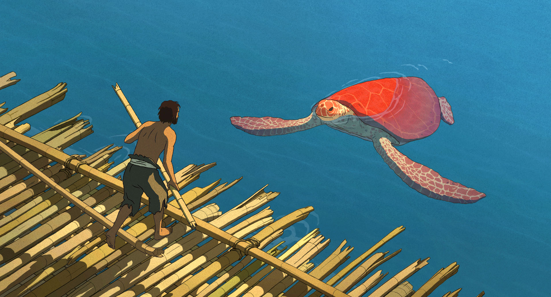 The Red Turtle laat je betoveren