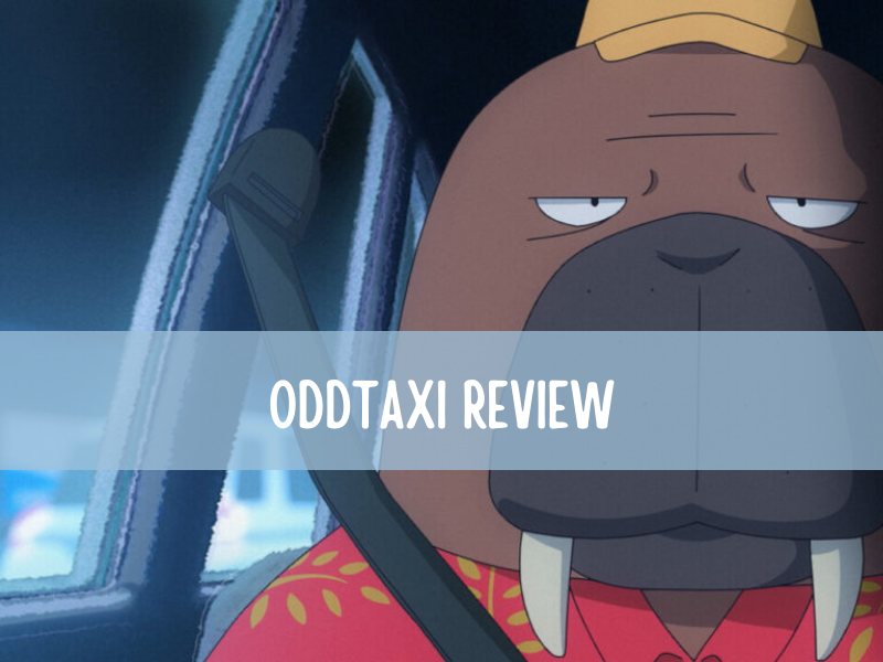 OddTaxi: wilde taxirit met bestemming onbekend